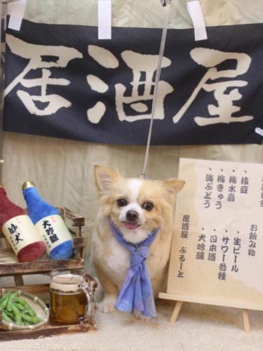 20240628マロ太くん